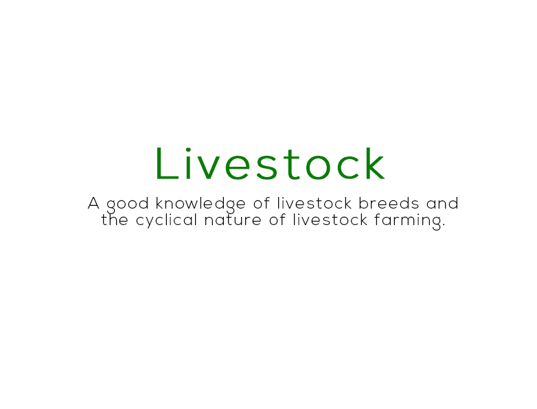 livestock2